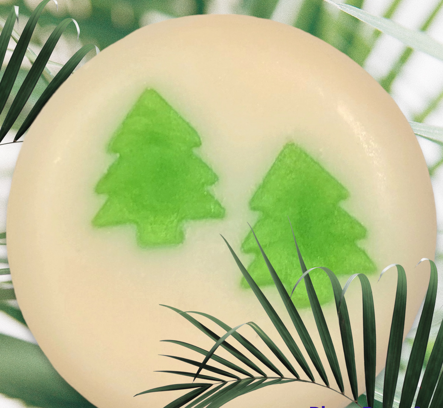 Forest Guardian Shampoo Bar - Cosplay Arts Shop