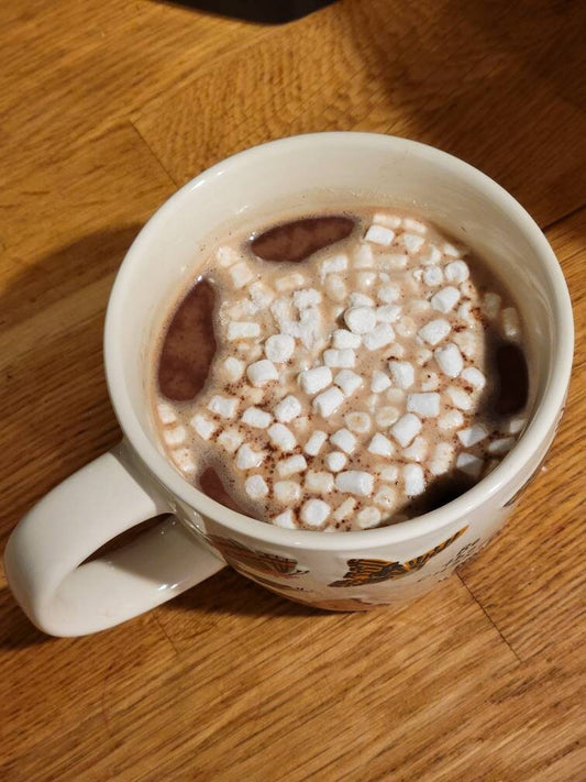 Chocolate Frog Hot Cocoa Mix - Cosplay Arts Shop